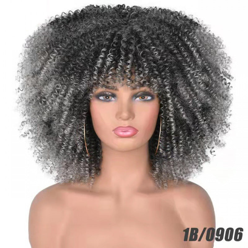 Small Curly Afro Hair Wig