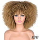 Small Curly Afro Hair Wig